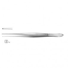 Cushing Dissecting Forceps 1 x 2 Teeth Stainless Steel, 20 cm - 8"